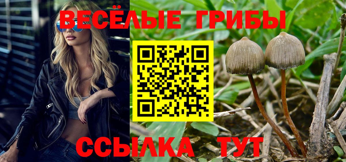 Галлюциногенные грибы ЛСД Углич
