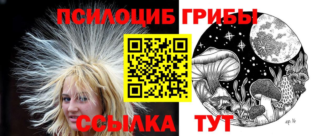 Псилоцибиновые грибы Psilocybine cubensis  Псилоцибиновые грибы Magic Shrooms  Вход с VPN  Углич 